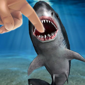 Shark Fingers! 3D Interactive Aquarium