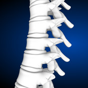 SpineDecide