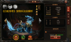 ߴ桷淨ȫ